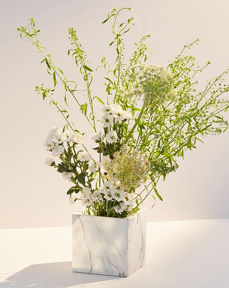 Jardinière Icône pastèque